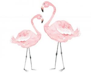 Dekornik , Naklejki nad Mebelki Flamingi 110x110 cm