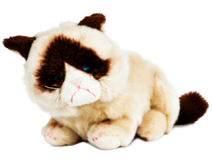 Leżący kot Grumpy maskotka