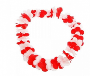 Kwiaty hawajskie biało-czerwone