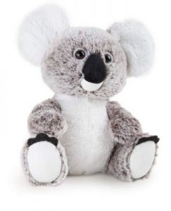 Pluszowy miś koala
