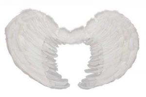 Skrzydła anielskie Sissi - przebrania , kostiumy dla dzieci