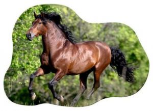 Mini puzzle Andaluzyjski Koń